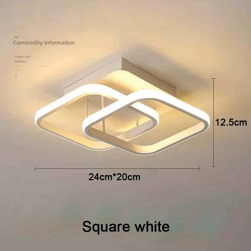 Modern LED Ceiling Light