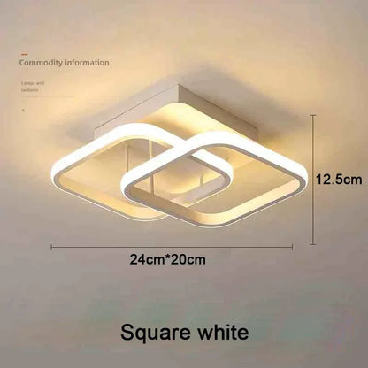 Modern LED Ceiling Light