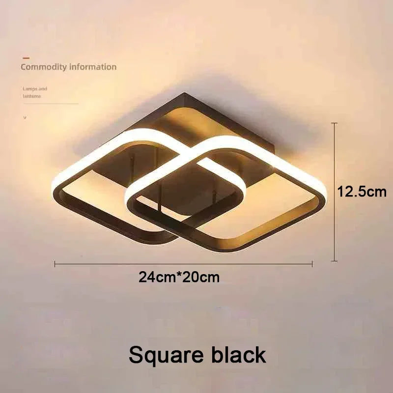 Modern LED Ceiling Light