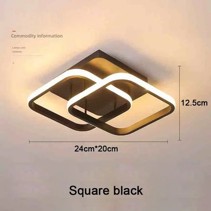Modern LED Ceiling Light