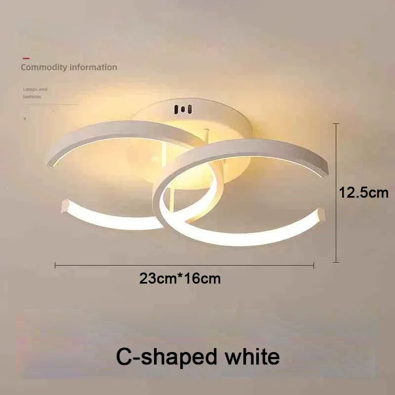 Modern LED Ceiling Light