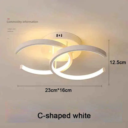 Modern LED Ceiling Light