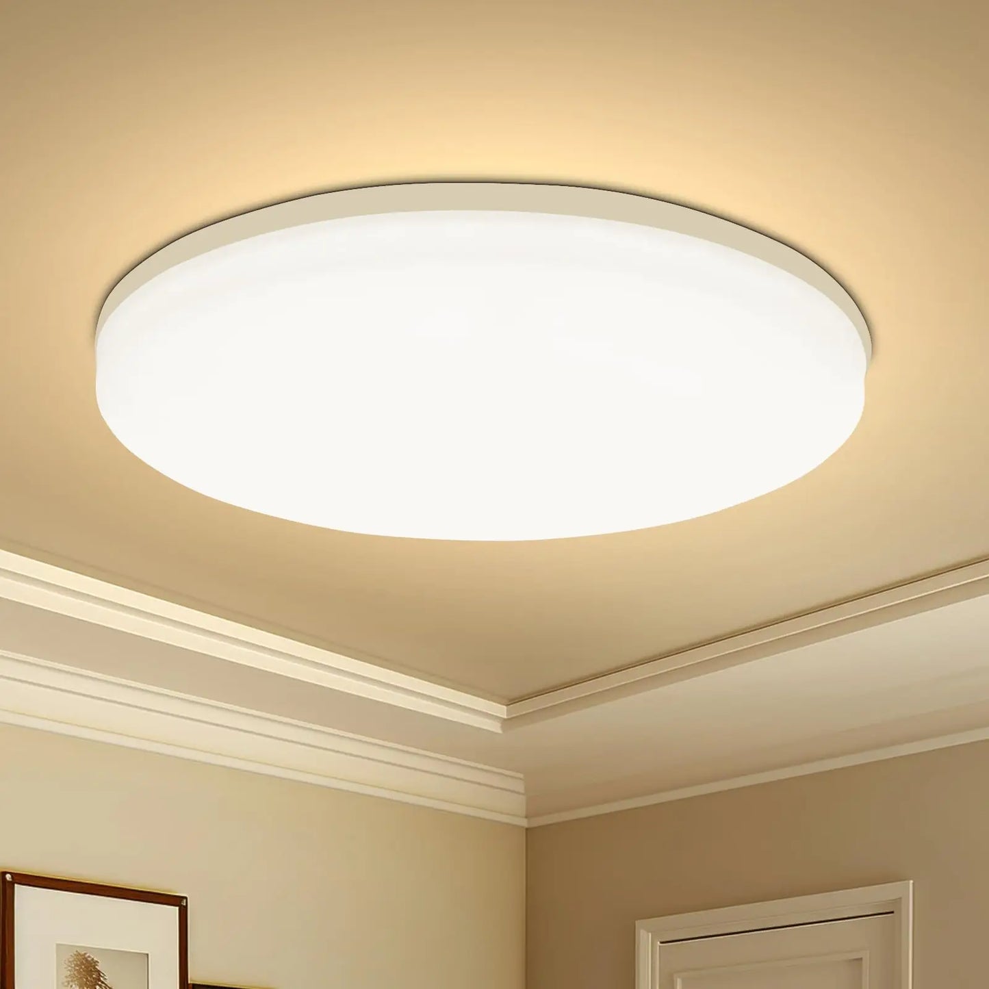 Modern Round LED Ceiling Light Fixture
