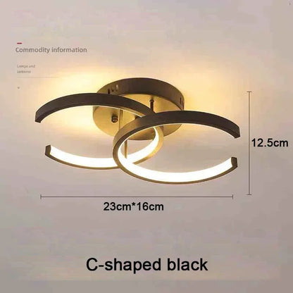 Modern LED Ceiling Light