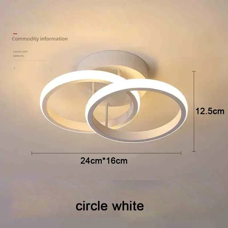 Modern LED Ceiling Light
