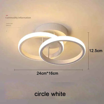 Modern LED Ceiling Light